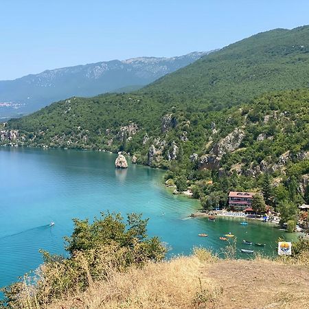 Edelweiss Villa تربيجكا المظهر الخارجي الصورة