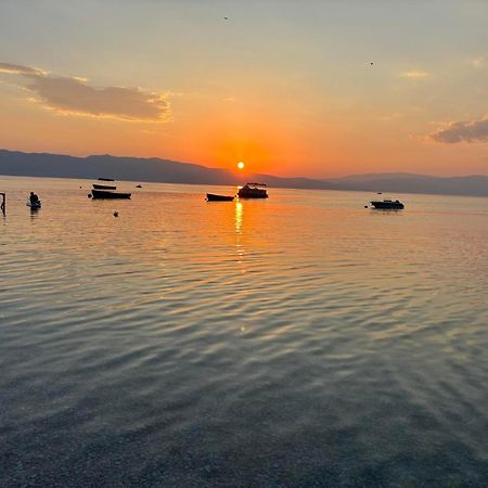 Edelweiss Villa تربيجكا المظهر الخارجي الصورة