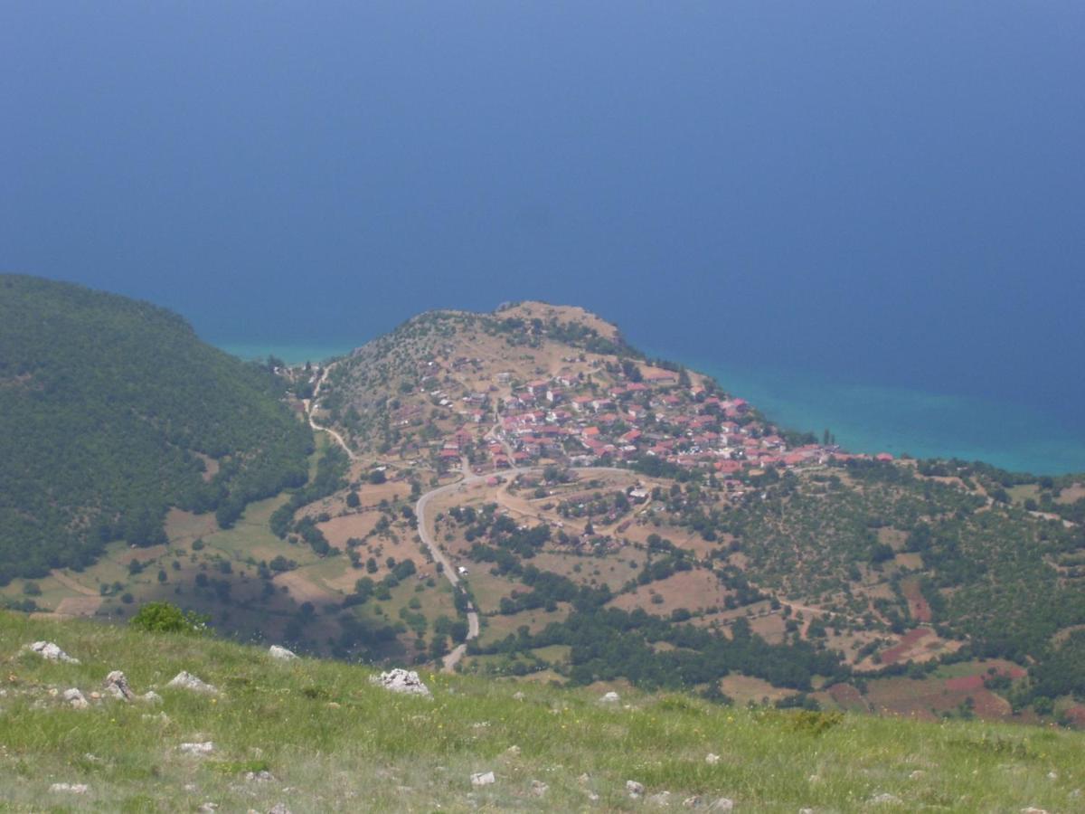 Edelweiss Villa تربيجكا المظهر الخارجي الصورة