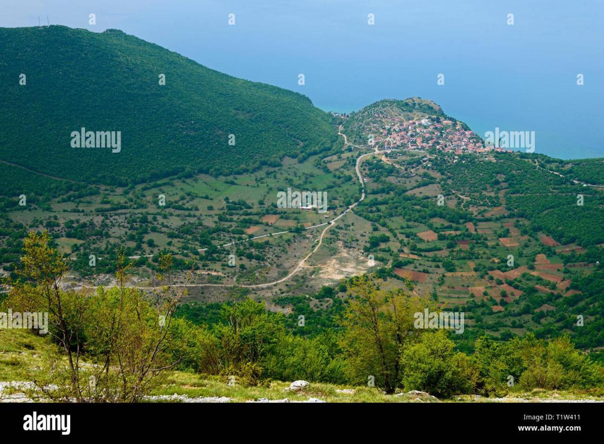 Edelweiss Villa تربيجكا المظهر الخارجي الصورة